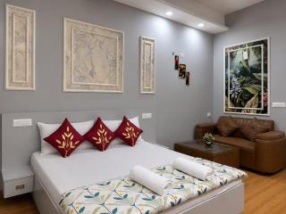 Full Day Avaason 369 Cozy Studio Gaur City Center - 7