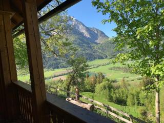 Schwab Brunner Almhütte vacation home for relaxing - 4
