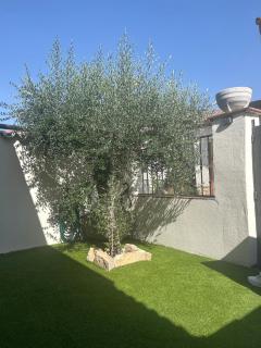 Casa Marfil - 2