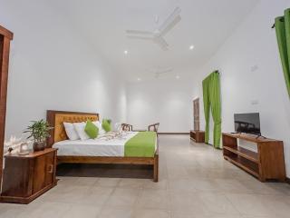 Grandpa's villa Jaffna - 3