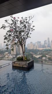 1BR Luxury Fourwinds Apartment by Room Available - 3