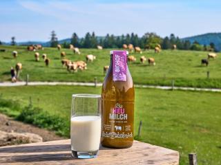 Bio-Ferienhof Höfler- 400 Jahre alter 4-Seithof, direkt neben dem Rannasee - 3