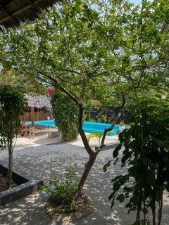 Tribe Bungalows, Bwejuu, Zanzibar - Bwejuu - 2