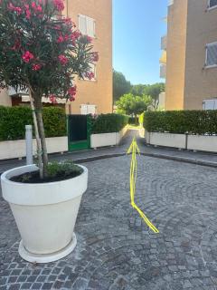 Mare e Tulipani - 1