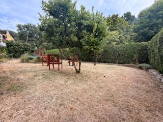 Ferienwohnung am Baiersdorfer Wald - 2