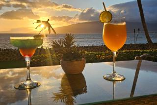 Oceanfront Ground Floor w Stunning Sunset Views - 4