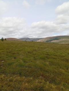 Aghavannagh Mountain Lodge - 5