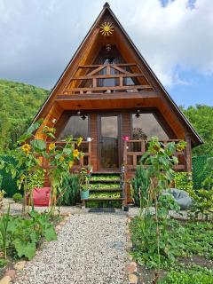WILD NEST Cottage - 9