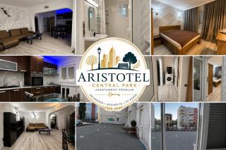 Aristotel Central Park - 9