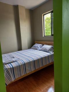 house angelicas - 4