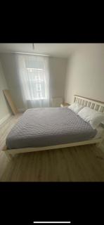 The Urban Haven - 7