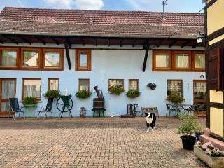 Mélodies d'Alsace - 9