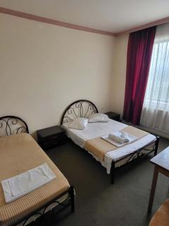 Silk Road pasa hotel - 1