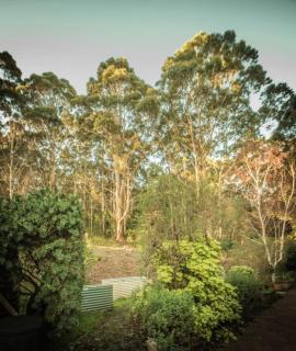 Whispering Karri Retreat 5 Acre Hideaway - 6