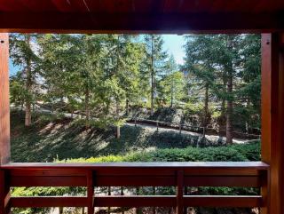 Appartement chaleureux – Bois et montagnes - 3