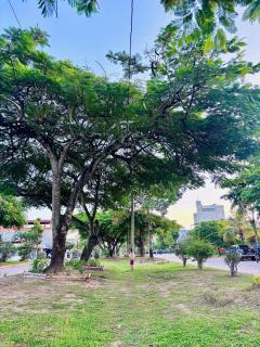 Apartamento frente a la dulcera Villa Roncal - 2