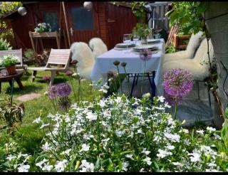 Magnifique appartement avec jardin privatif, 5 minutes du lac - 1