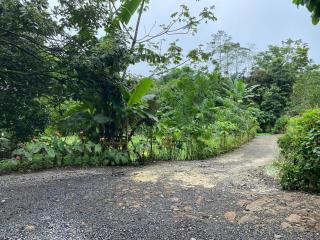 Pino Lodge, Río Celeste - 6