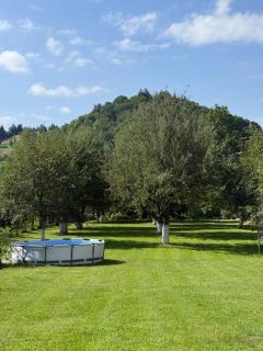 Casuta cu Dumbrava - Bran - 6