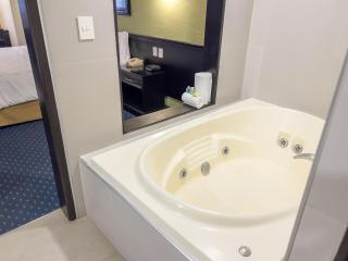 Holiday Inn San Luis Potosi-Quijote by IHG - 2