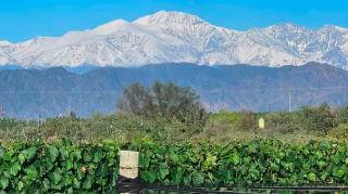 Rincon del Malbec - 8