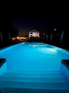 Hotel Daly - 7