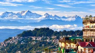 The Boho Darjeeling Stays - 0