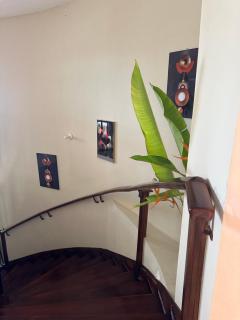 Villa Azure - 3