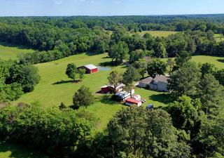 Country Living Horses and Wildlife - 7