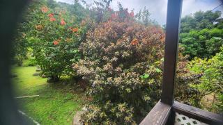 River Splash Cottage at Concord-Dominica - 3