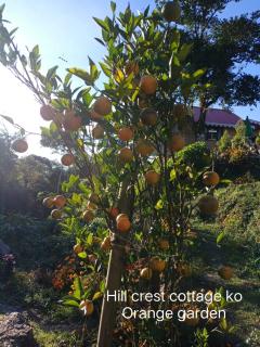 Golden View Homestay Sittong - 3