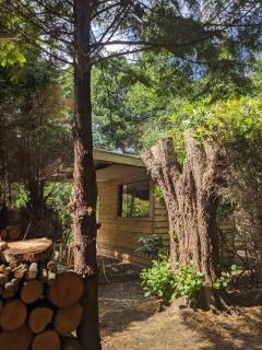 The Bird Nest at The Secret Garden - 0