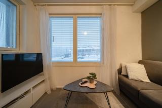 Sisu Stay Studio Jetset Levi - 3