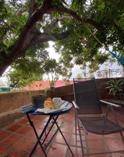 La Casa Del Mango - 5