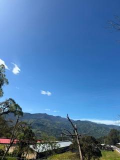 Finca Ecoturistica La Felicidad - 1