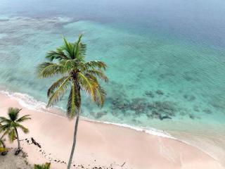 Arriyaladub traditional cabins San blas - 7