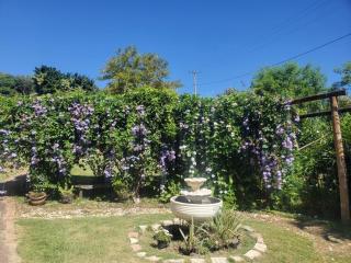 Milagro de Amor - 6