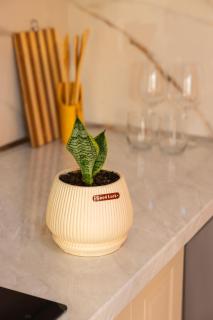 Kres Guest house - 6