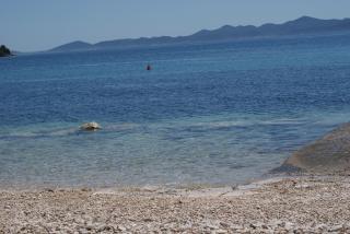 Apartments Jurjevic - 1