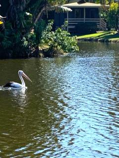 Lakefront Retreat Hervey Bay - 5