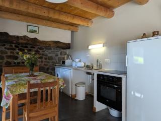 Gîte charmant pour 8 pers à Rauret avec cheminée, terrasse et accès "Tourisme et Handicap" - FR-1-582-186 - Rauret - 3