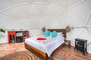 Glamping-Zingo - 6