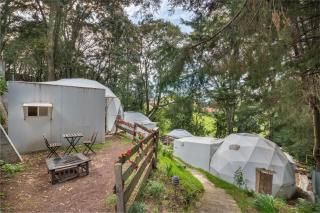 Glamping-Zingo - 2