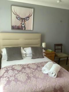 The Dolphin Hotel - 4