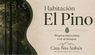 Casa Ñaa Xuba'a - 9