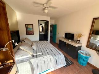 Casa Zorro - 4