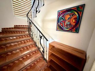 Casa Zorro - 1