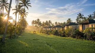 Khastana Hadi Tegallalang, Ubud - 0