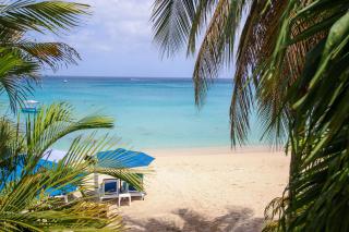 Beachfront apt on stunning paynes bay - Bora Upper - 6