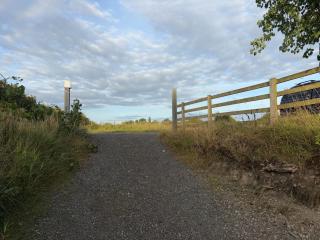 The Ballyforan Cottage - 2